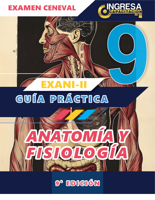 Anatomía y Fisiología