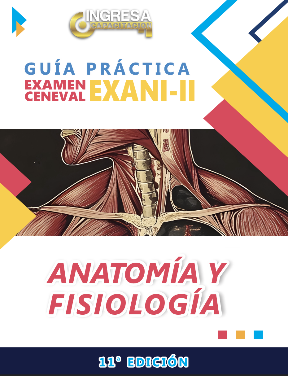 Anatomía y Fisiología